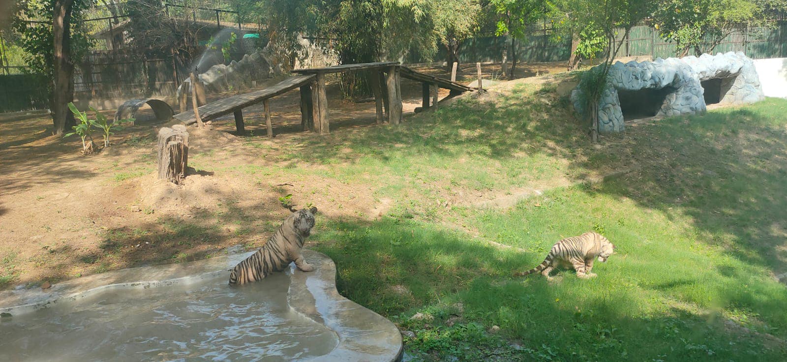 VISIT TO NATIONAL ZOOLOGICAL PARK