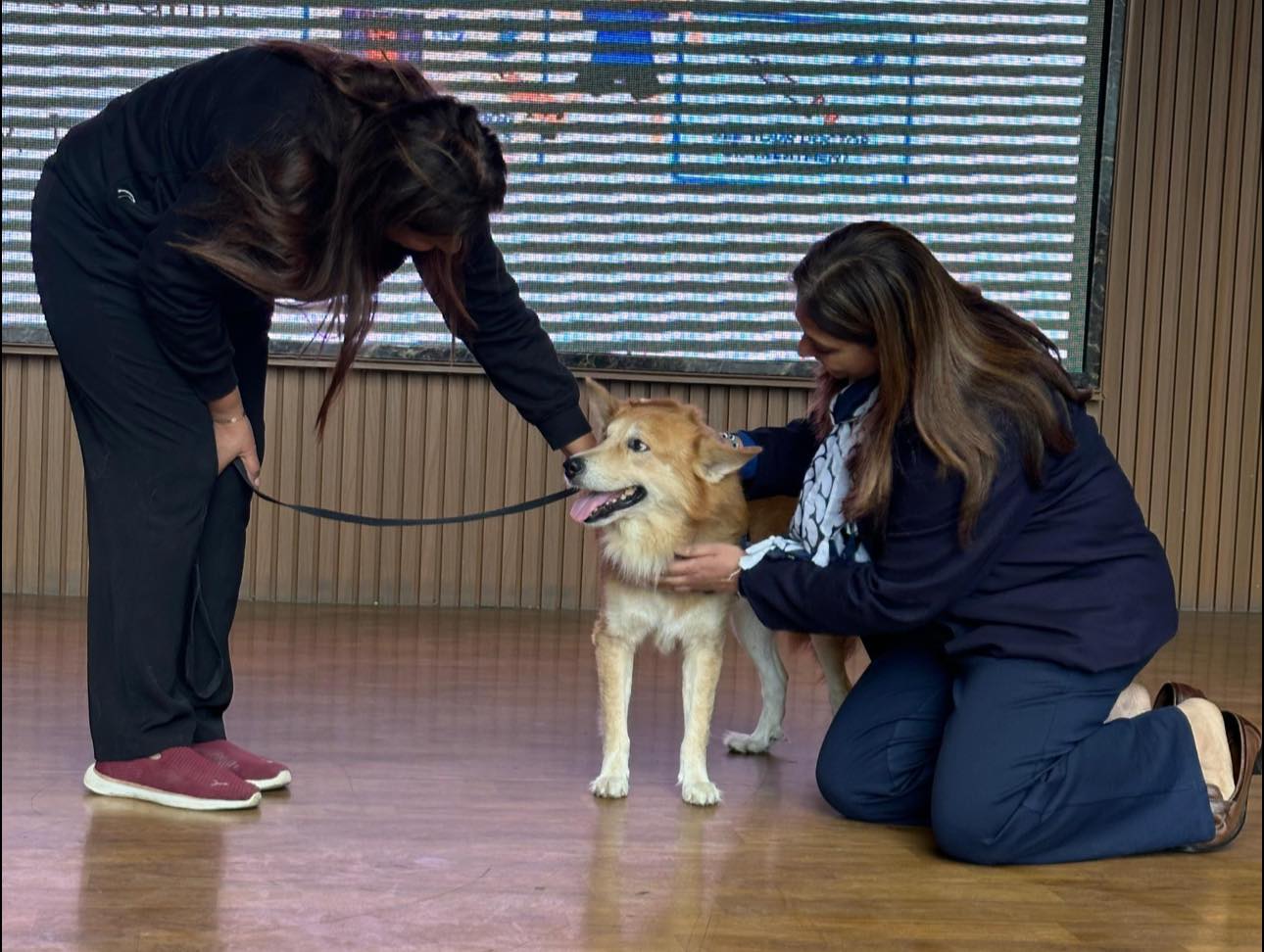 BHALU VISITED OUR SCHOOL