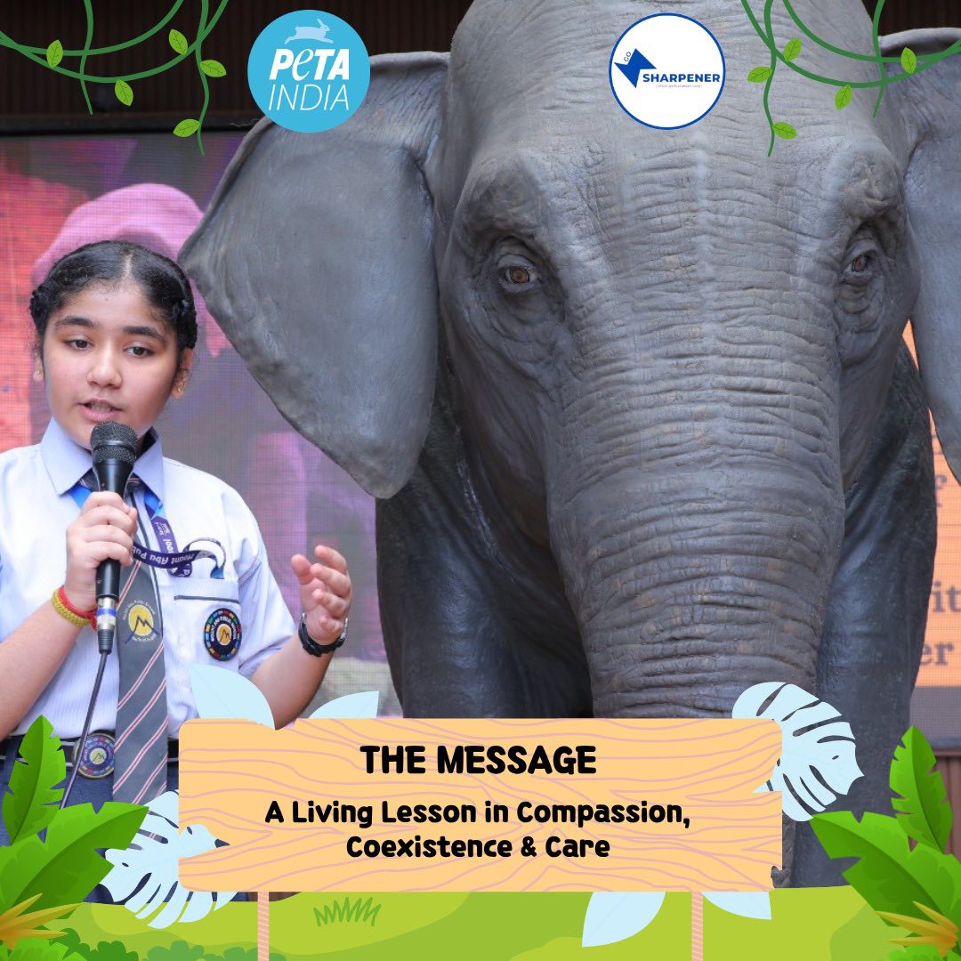 ELLIE VISITS MOUNT ABU SCHOOL
