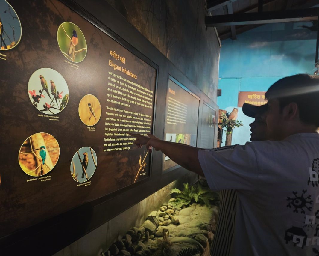 EXPLORING THE WILD WONDERS OF JIM CORBETT